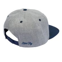 TSG Pitcher Snapback