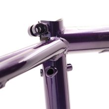 Total BMX Hangover H4 Alex Coleborn Signature BMX Frame - Blackberry