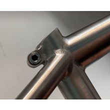Total BMX Titanium Custom Geometry BMX Frame